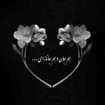 آهنگ تو ماه منی همراه منی تو معشوقه ی دلخواه منی رد کن مرا از مرز آغوشت امشب من دیوانه ی