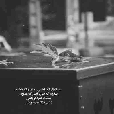 آهنگ بگو همه چیو یادته بگو یادته
