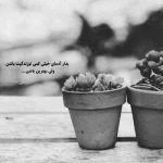 آهنگ هرشب خاطرات مزخرفت هی میاد سراغم حیف گلایی که من بهت کادو دادم