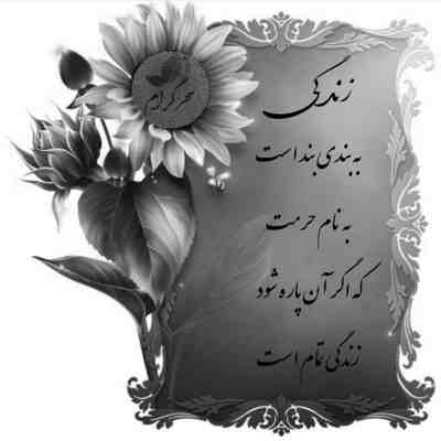 بد عاشقم کرده چشات خندیدنات اون لجبازیات