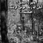 آهنگ میگردم دنبالت لا به لای قصه ها گشتم نبود نگرد نیست کسی مثل ما