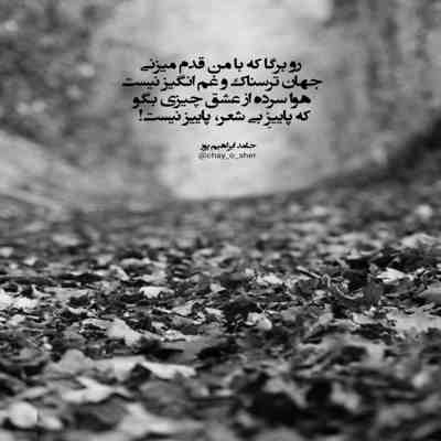 آهنگ دیونه کردی همه رو بیبی با رقصت