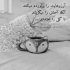 آهنگ یه دل نه صد دل عاشقم میگم اینو پیش همه زیادی خواستنای عشق واسه من همیشه کمه