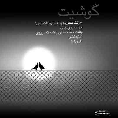 آهنگ تو این اتاق تاریک که نداره هیچ شمعی