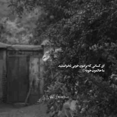 امشب زده به سرم که دل تورو ببرم دورت بگردم