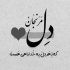 آهنگ بیا تو قفس چشات بشم حبس از دنیا ببری برات میشم نبض