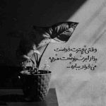 آهنگ گفتم ببینمت شاید که از سرم دیوانگی رود زان دم که دیدمت دیوانه تر شدم
