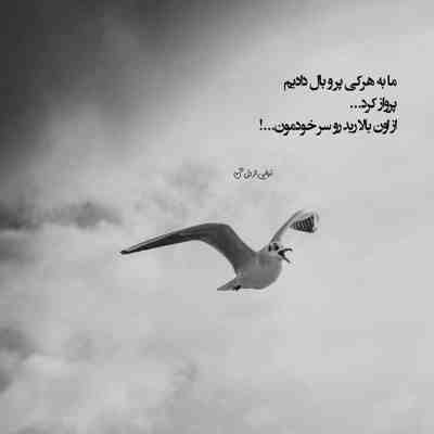 آهنگ این حقم نبود که ترکم کنی