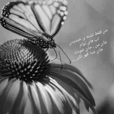 آهنگ یه کم آفتابی شو ببین چقد بارونیم