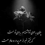 آهنگ پروانه وار با یه دل بیقرار شبیه این عشق نمیاد هر صد سال یه بار میدونی داری چه نقشی