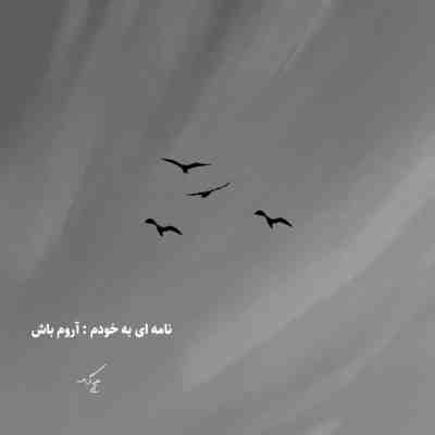 آهنگ مثلا تو بخندی برام من از عشق زیاد یهو خیس شه چشام 