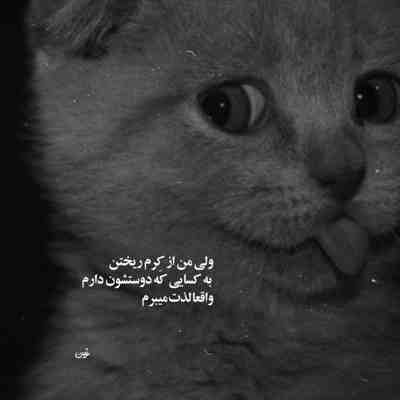آهنگ جون چه ندایی چه بلایی عجب سایز صدایی