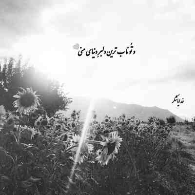 آهنگ دوست داری باز واسم ناز کنی نه