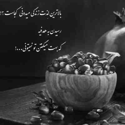 آهنگ زده عشق تو بد به سرم واسه دیدنت گل بخرم