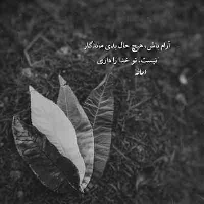 آهنگ وایسا ببینم کوش کوش