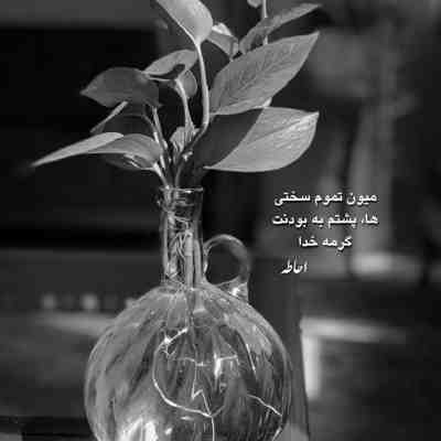 آهنگ بالا سی ام هنوز فرش فرش
