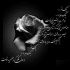 آهنگ امشب با تو شب خوشرنگ است