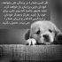 آهنگ می ترسم لایق داشتنت نباشم