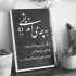 آهنگ آتش به جانم زد جدایی کار تو بود این بی وفایی