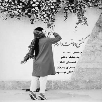 آهنگ مرز در عقل و جنون باریك است