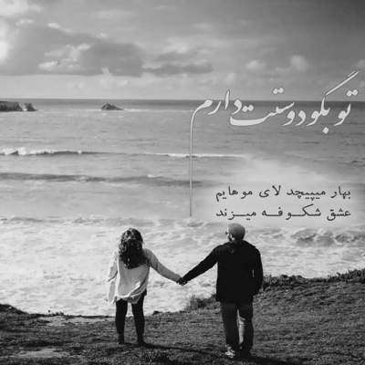 آهنگ بی تو به سامان نرسم