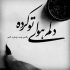 آهنگ آشنای من غریبانه میان جاده ها رفت