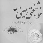 آهنگ همه تقدیرِ جهان بی تو نمیرزد هیچ