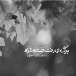 آهنگ واسه دوست داشتنت این بار دیگه شرطی نمیذارم