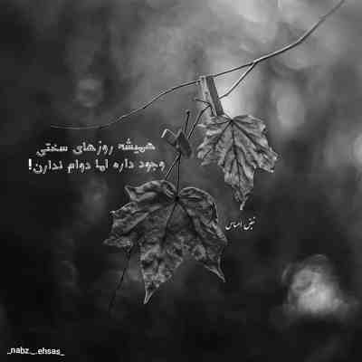 آهنگ چمدان پر طلا پله پله میاد بالا