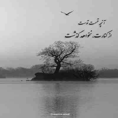 آهنگ وقتایی که میاد نم نم بارون میزنم از خونه بیرون