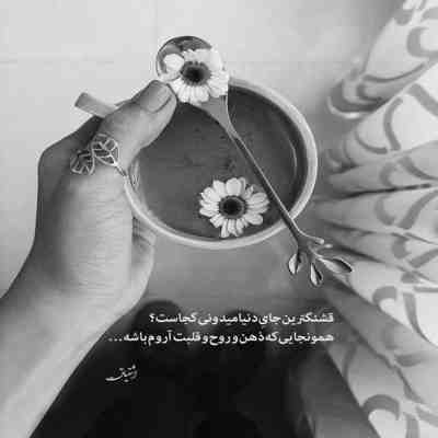 آهنگ صدای خنده های تو میگه باید برای تو جون دادش