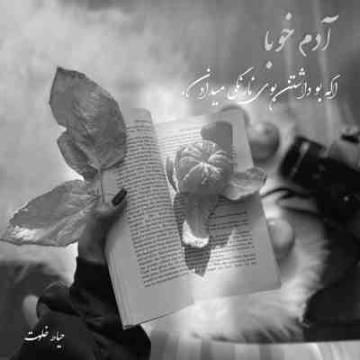 آهنگ مگه عاشق من آسمون ‌جل نبودی
