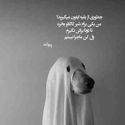 آهنگ آخه دیوونه تر از من هست مگه واست