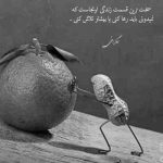 آهنگ پاشو جمع کنیم بریم جاده به ما میسازه اونی که زخمی و نمرده نمیبازه