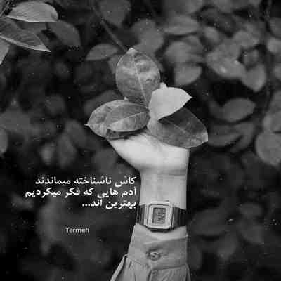 آهنگ یدونه پسر دارم من قند عسل دارم من