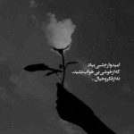 آهنگ بیقرار توام ای یار یکبار نه صد بار در حسرت دیدار از قلب من اصرار