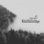 آهنگ من که ازت گذشتم و رفتم رفیق شاید بتونی عکسمو عاشق کنی