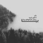 آهنگ تو بشی شب واست نور مهتاب میشم تو خودت میدونی من چقدر زیاد میخوام تو رو