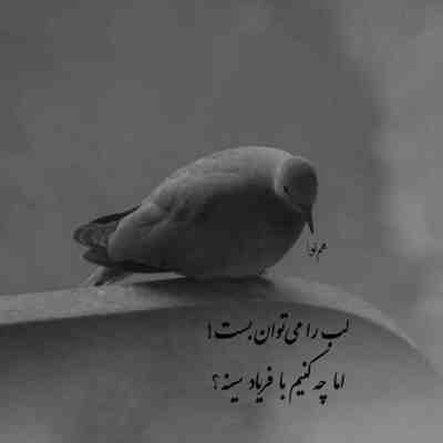 آهنگ شب که میشه یه دیوونه پشت در اتاقته