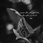 آهنگ دلم میخواد من فقط نگات کنم نگات کنم نفس گرشا رضایی