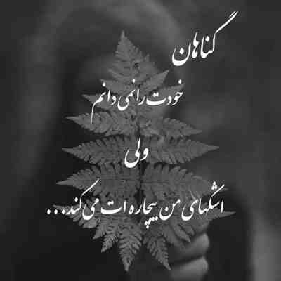 آهنگ قلبم پیشت گیره حرف میزنی میره این دلم