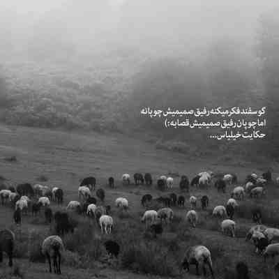 آهنگ دل عاشق خدا میدونه که گرفتاره