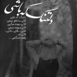 آهنگ همیشه وقتی باید بمونی میذاری میری