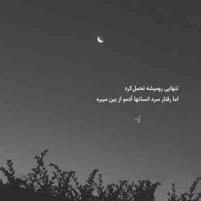 آهنگ به سرم زد بزنیم باز تو خیابون
