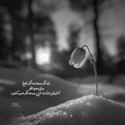 آهنگ کی قد من میمونه به پات به آبو آتیش میزنه