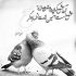 آهنگ کی برات می تونه جای منو بگیره کیه که تا تب کنی برات بمیره