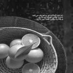 آهنگ این چه جهانی است که نوشیدن می نارواست این چه بهشتی است در آن خوردن گندم خطاست