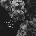آهنگ همه ی گل های دنیا فدای اون نگاهت الهی زنده باشی بمونم زیر سایه ت فرشته ی روی زمینی