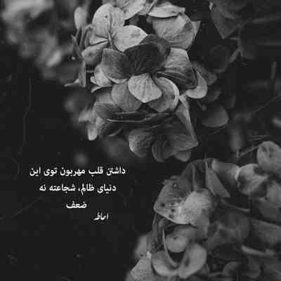 آهنگ همه ی گل های دنیا فدای اون نگاهت
