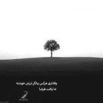 آهنگ غم غلط کرده به تو سر زده مگه من مردم نمیدونی قلب من تو قلب تو حل شد رفت